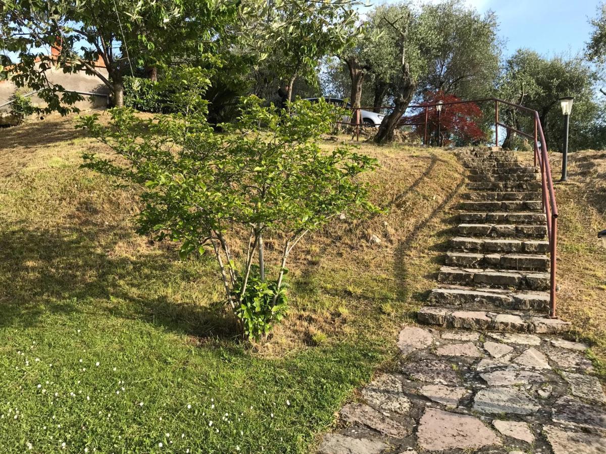 레리치 La Casa Fra Gli Ulivi 아파트 외부 사진