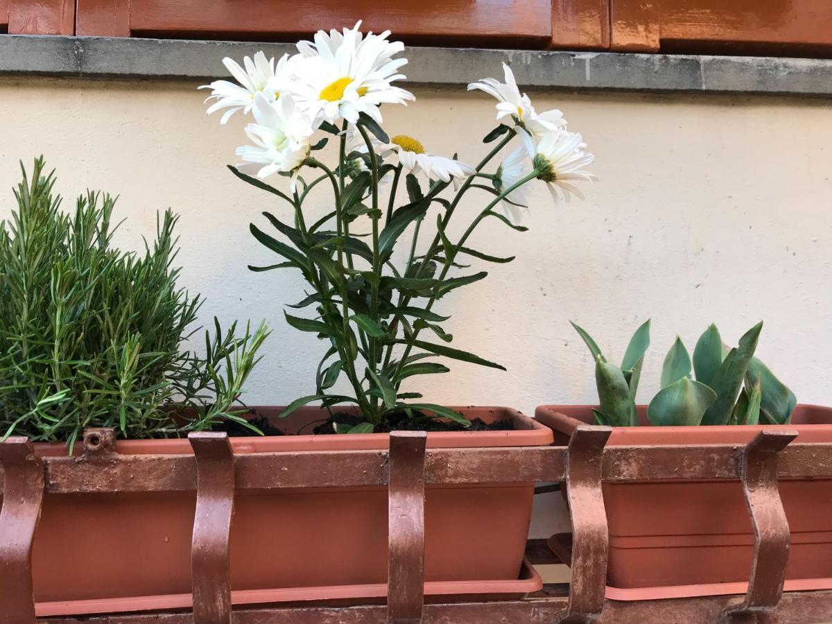 레리치 La Casa Fra Gli Ulivi 아파트 외부 사진
